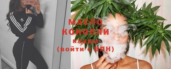 ГАЛЛЮЦИНОГЕННЫЕ ГРИБЫ Вяземский
