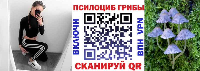 Псилоцибиновые грибы мухоморы  Химки 
